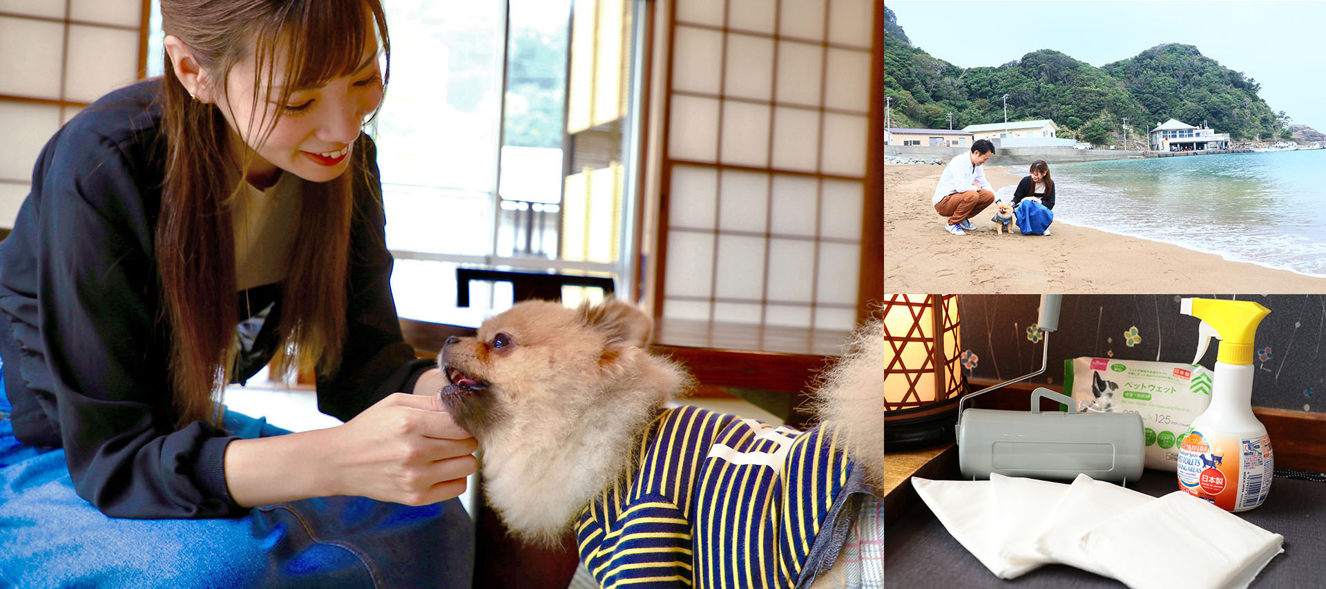 ワンちゃんと一緒に泊まろう